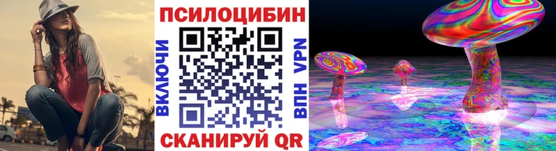 Галлюциногенные грибы Psilocybine cubensis  Купить  Таштагол 